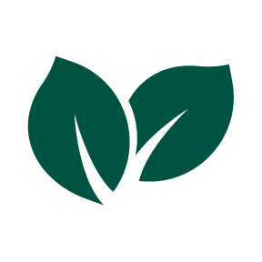 Green leaf-288x288px.png